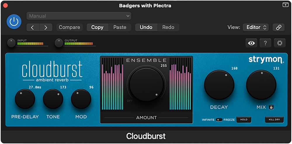 YUTO　strymon cloudburst Cloudburst Ambient Reverb - Strymon